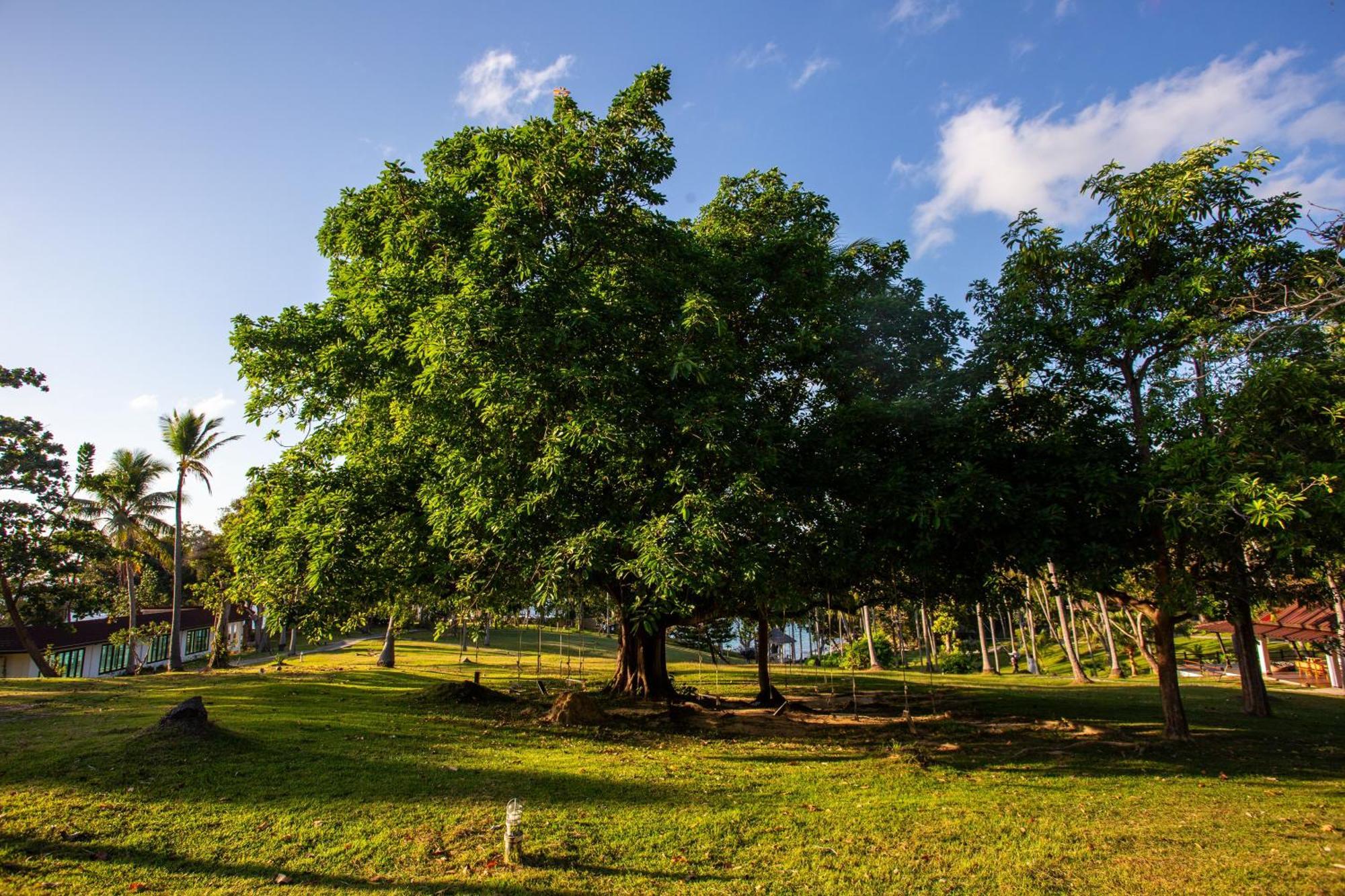 Ban Raya Resort And Spa Ko Racha Yai Εξωτερικό φωτογραφία