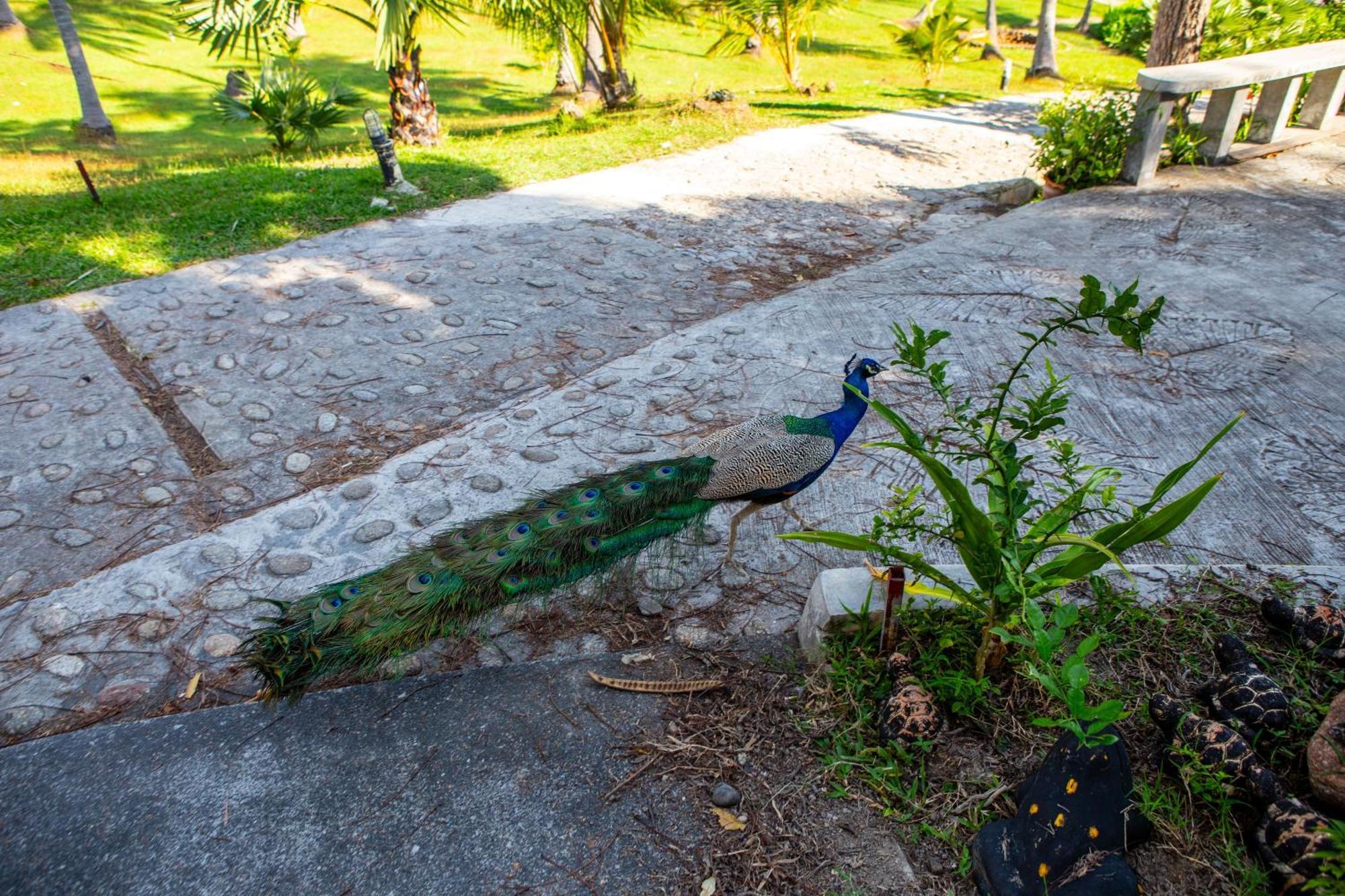 Ban Raya Resort And Spa Ko Racha Yai Εξωτερικό φωτογραφία
